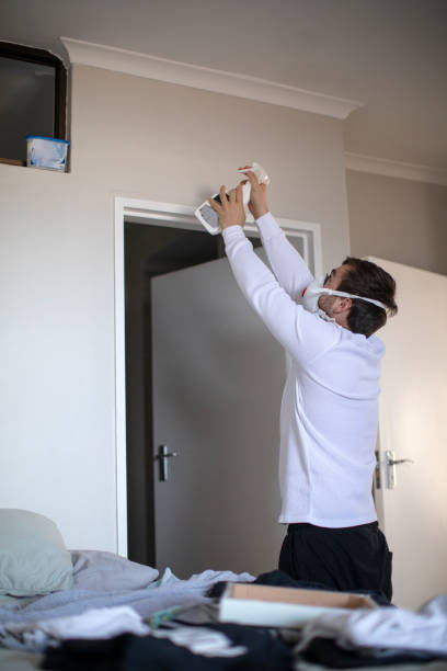  Blue Point, NY Mold Removal Pros