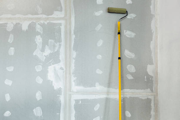 Best Mold Documentation for Insurance Claims  in Blue Point, NY