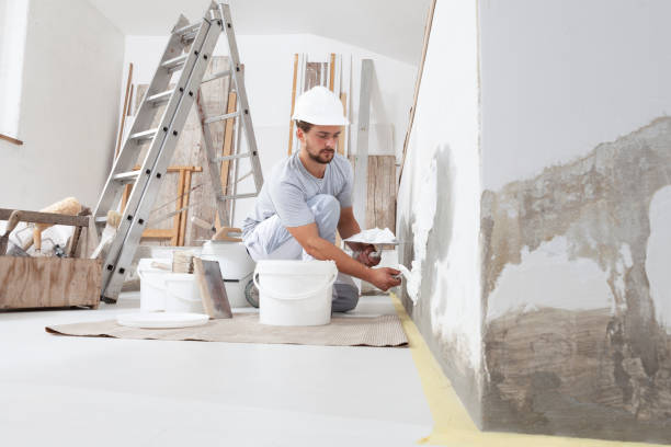 Trusted Blue Point, NY Mold Removal Experts