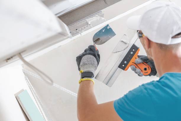 Best Post-Construction Mold Inspection  in Blue Point, NY